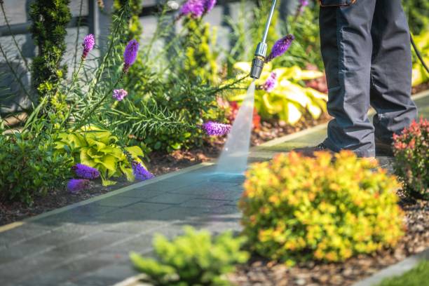 Best Brick and Stone Cleaning in Palmyra, MO